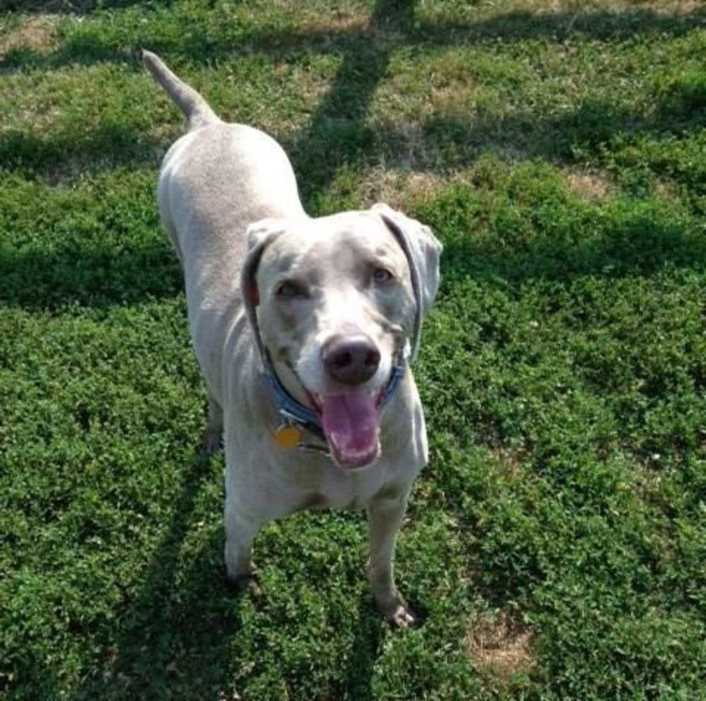 Meet your Posher, Aimee